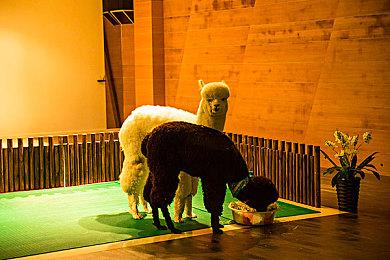 《消逝的光芒：困兽》将于9月19日上线 —— 对不起我们跳票了